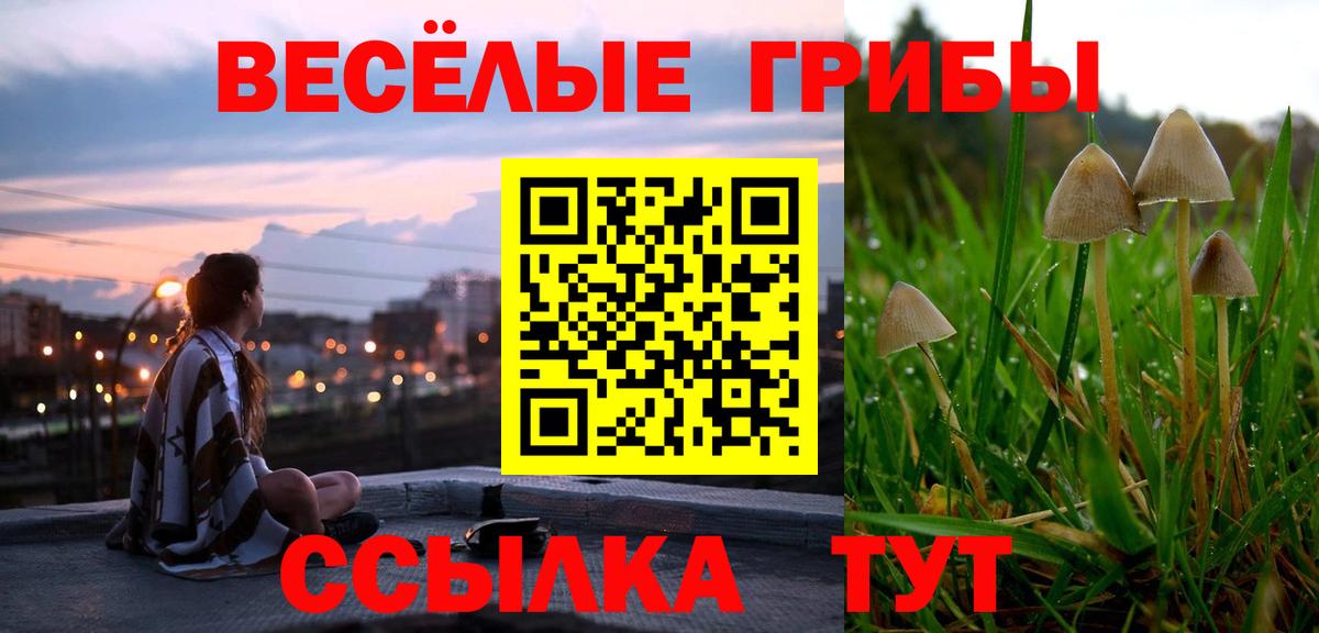 Десногорск  Галлюциногенные грибы прущие грибы  наркота  Вход с VPN 